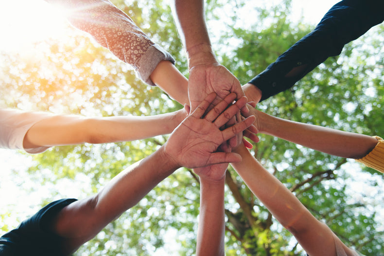 The Soul Family Membership