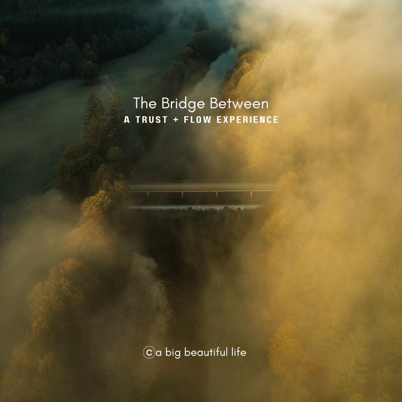 The Bridge Between: A Trust + Flow Experience